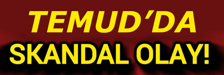 haber-kapak-resim-temud